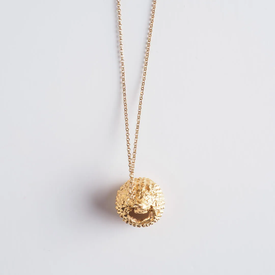 Big acorn - sparkling necklace - gold plated