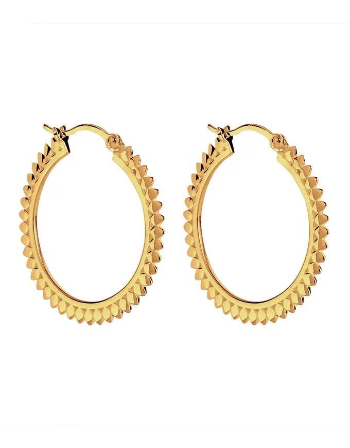 Radiance Hoop Earring Gold E6998