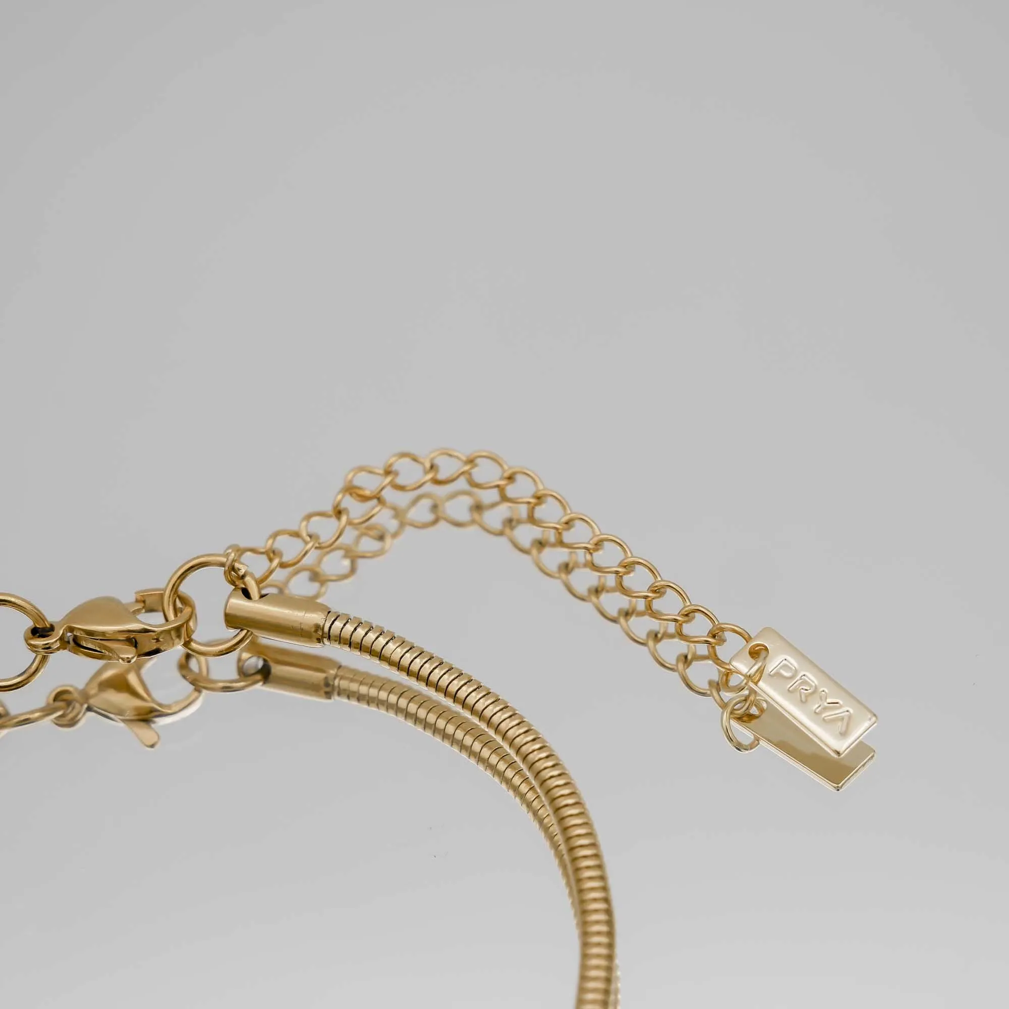 Snake Chain Anklet