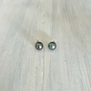 Tahitian Pearl Studs